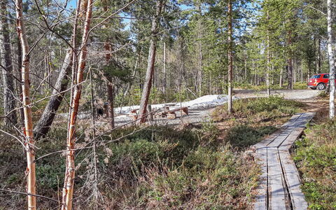 Hoviranta: Arbre, Environnement Naturel, Bois, Forêt, Piste, Région Sauvage, Communauté Des Plantes, Des Bois, Tronc