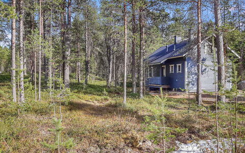 Hoviranta: Arbre, Bois, Communauté Des Plantes, Des Bois, Forêt, Lot Terre, Chalet, Tronc, Bosquet, Nord Forest Dur