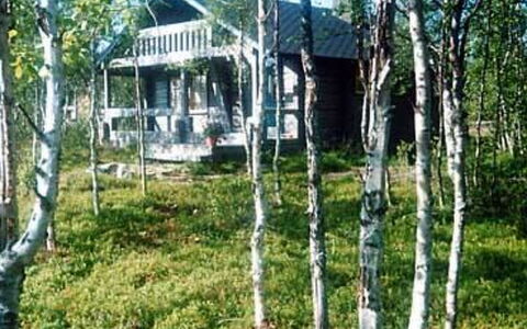 Juolukka: Arbre, Bois, Des Bois, Forêt, Tronc, Chalet, Bouleau, Bosquet, Cabane En Rondins