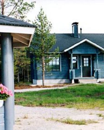 Mäntyaho