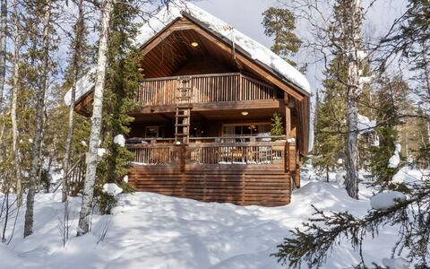 Mervinrinne: Bois, Neige, L'Hiver, Chalet, Gelé, Domicile, Cabane En Rondins, Mélèze, Siding