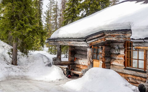 Kelo-Ville: Bois, Neige, L'Hiver, Chalet, Gelé, Domicile, Cabane En Rondins, Mélèze, Siding