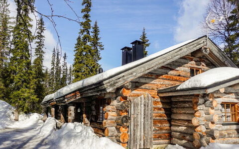 Kelo-Ville: Bois, Neige, L'Hiver, Chalet, Gelé, Domicile, Cabane En Rondins, Mélèze, Siding