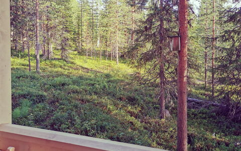 Käenkukka: Bois, Neige, L'Hiver, Chalet, Gelé, Domicile, Cabane En Rondins, Mélèze, Siding