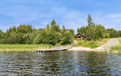 Koivupiha