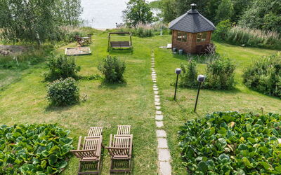 Koivupiha