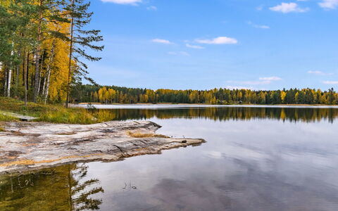 Koivuranta: Bois, Neige, L'Hiver, Chalet, Gelé, Domicile, Cabane En Rondins, Mélèze, Siding