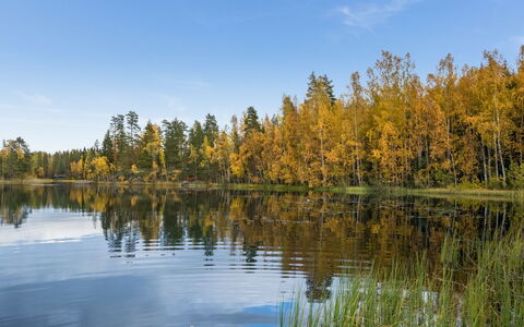 Harrila: Bois, Neige, L'Hiver, Chalet, Gelé, Domicile, Cabane En Rondins, Mélèze, Siding