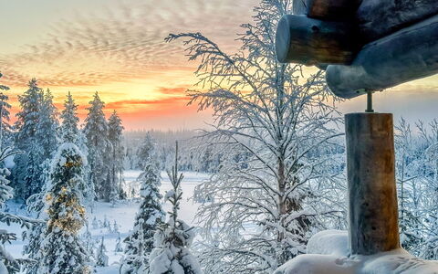 Riekonkätkä: Bois, Chalet, Cabane En Rondins, Forêt, Cabanon, Batiments Jardin, Mélèze, Des Bois, Tache De Bois