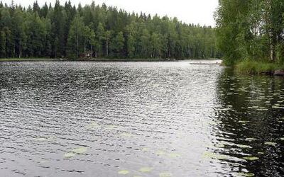 Aurinko