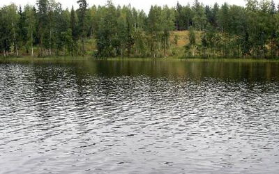 Aurinko