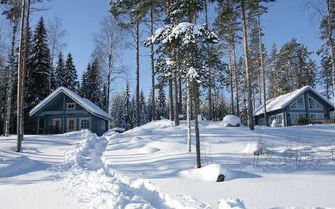 Safiiri: Bois, Neige, L'Hiver, Chalet, Gelé, Domicile, Cabane En Rondins, Mélèze, Siding