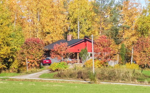 Viehko: Bois, Chalet, Cabane En Rondins, Forêt, Cabanon, Batiments Jardin, Mélèze, Des Bois, Tache De Bois