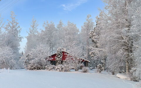 Viehko: Bois, Chalet, Cabane En Rondins, Forêt, Cabanon, Batiments Jardin, Mélèze, Des Bois, Tache De Bois