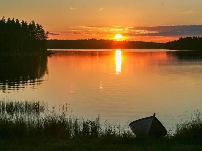 Viehko