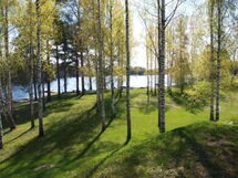 Mäntylä
