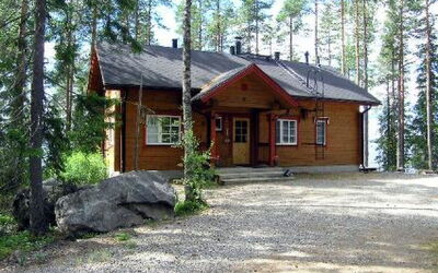 Puolukka