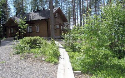 Puolukka