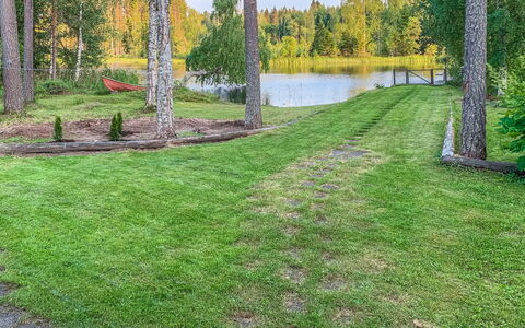Majavanpesä: Herbe, Arbuste, Jardin, Lot Terre, Pelouse, Couverture De Sol, Aménagement Paysager, Cour