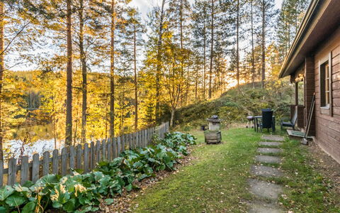 Suvituuli: Feuille, Bois, Arbuste, Lot Terre, Chalet, Tronc, Printemps, Des Bois, Jardin, Mélèze