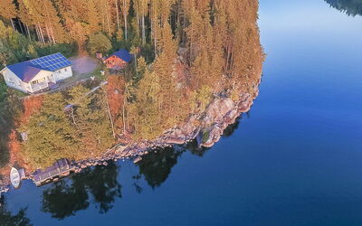 Koivurinne