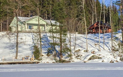 Koivurinne