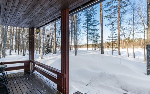 2234: Bois, Neige, L'Hiver, Chalet, Gelé, Domicile, Cabane En Rondins, Mélèze, Siding