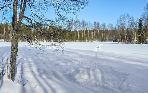 2234: Bois, Neige, L'Hiver, Chalet, Gelé, Domicile, Cabane En Rondins, Mélèze, Siding