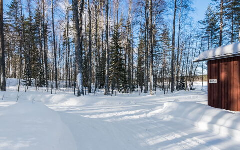 2234: Bois, Neige, L'Hiver, Chalet, Gelé, Domicile, Cabane En Rondins, Mélèze, Siding