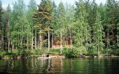 5816: L'Eau, Ressources En Eau, Plan D'Eau, Arbre, Environnement Naturel, La Nature, Voie Navigable, Forêt, Banque, Cours D'Eau