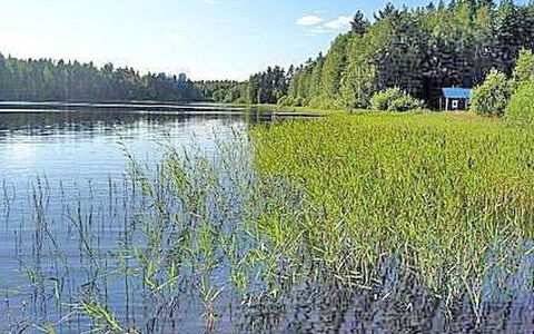 Pikku-Villa: L'Eau, Ressources En Eau, Plan D'Eau, Vert, Environnement Naturel, La Nature, Paysage Naturel, Le Marais, Banque