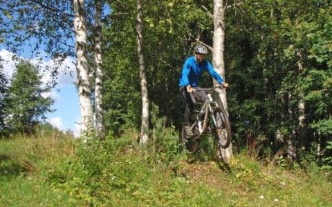 Vaaran Loma-Asunto: Bois, Chalet, Cabane En Rondins, Forêt, Cabanon, Batiments Jardin, Mélèze, Des Bois, Tache De Bois