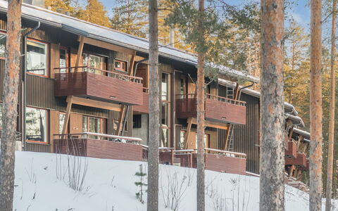 Sotkamo 863: Chalet, Maison, Domicile, Batiments Jardin, Siding, Cabane En Rondins, Ferme, Biens, Cabanon, Cour