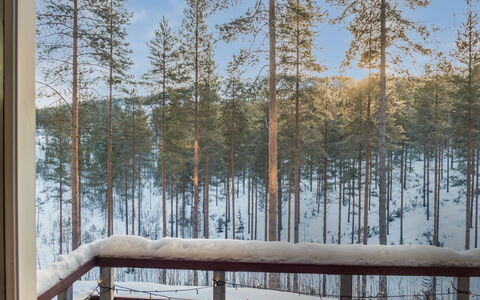 Sotkamo 863: Chalet, Maison, Domicile, Batiments Jardin, Siding, Cabane En Rondins, Ferme, Biens, Cabanon, Cour