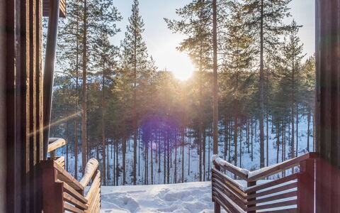 Sotkamo 863: Chalet, Maison, Domicile, Batiments Jardin, Siding, Cabane En Rondins, Ferme, Biens, Cabanon, Cour