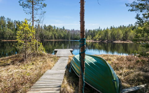 Kiimalammi: L'Eau, Ressources En Eau, Plan D'Eau, La Nature, Vert, Environnement Naturel, Paysage Naturel, Banque, Réflexion, Été