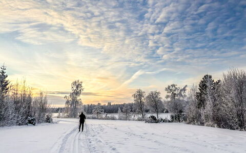 Villa-Lyydia: Ciel, Neige, L'Hiver, Branche, Nuage, Gelé, Des Loisirs, Lumière Du Soleil, Lever Du Soleil, Matin