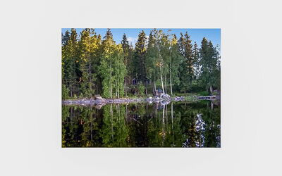 Mustikka