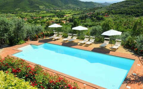 Zen: Piscine, Propriété, Recours, Immobilier, Maison, Loisir, Eco Hôtel, Herbe, Villa, Ville Resort
