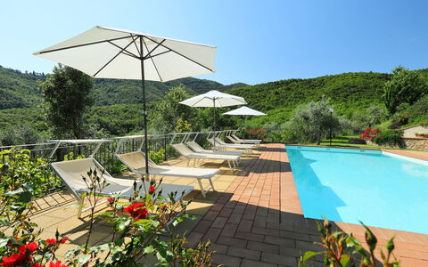 Zen: Piscine, Propriété, Recours, Vacances, Botanique, Loisir, Bâtiment, Ombre, Maison, Arbre