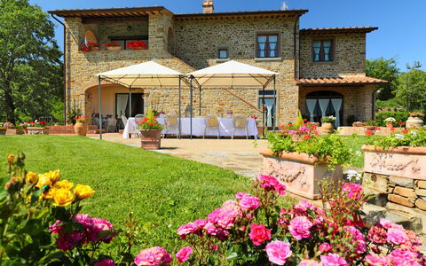 Zen: Propriété, Maison, Domicile, Bâtiment, Jardin, Immobilier, Fleur, Chalet, Plante, Botanique