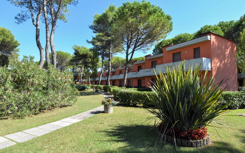 Bibione 380: Plante, Ciel, Jour, Communauté Des Plantes, Arbre, Feuille, Lot Terre, Ombre, Arecales, Paysage Naturel