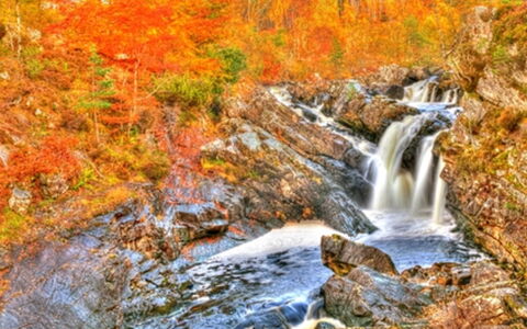Inverness 101: L'Eau, Plante, Feuille, Paysage Naturel, Branche, Arbre, Cours D'Eau, Cascade, Printemps