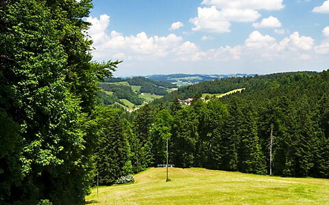 Egggraben: Montagnes Relief, Paysage Naturel, La Nature, Vert, Arbre, Prairie, Réserve Naturelle, Végétation, Conifères Tropicale Et Subtropicale Forêts, Environnement Naturel