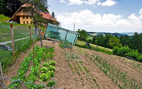 Egggraben: Paysage Naturel, Ferme, Zone Rurale, Champ, Famille Grass, Ciel, Paysage, Agriculture, Plante, Herbe