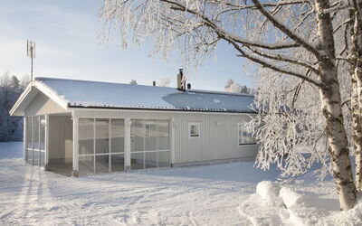 Metsätähti