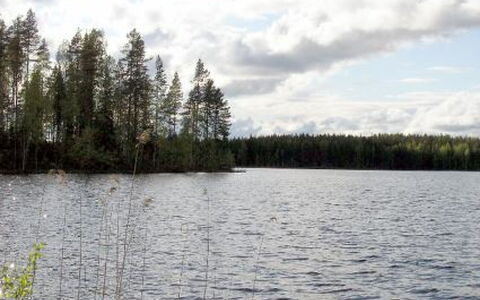 Syvälahti: Bois, Neige, Chalet, L'Hiver, Toit, Domicile, Gelé, Cabane En Rondins, Siding, Pente