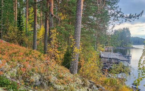Unnukkamaja: Chalet, Maison, Domicile, Batiments Jardin, Siding, Cabane En Rondins, Ferme, Biens, Cabanon, Cour