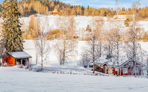 Peltosirkku: Neige, L'Hiver, Arbre, Branche, Maison, Chalet, Domicile, Paysage, Toit, Brindille