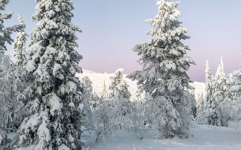 Utsunusko a: Bois, Neige, L'Hiver, Chalet, Gelé, Domicile, Cabane En Rondins, Mélèze, Siding